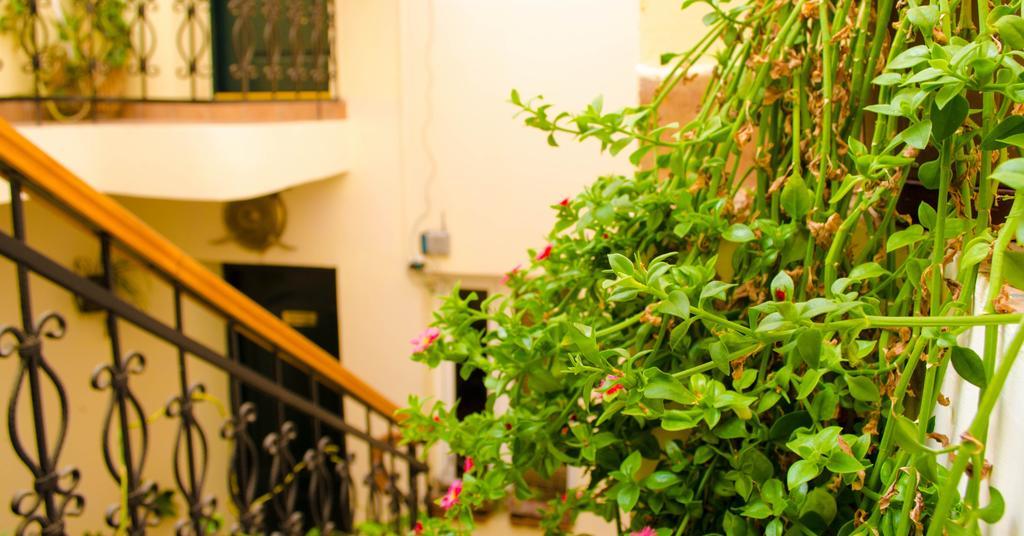 Old City Inn Hotel Baku Kültér fotó